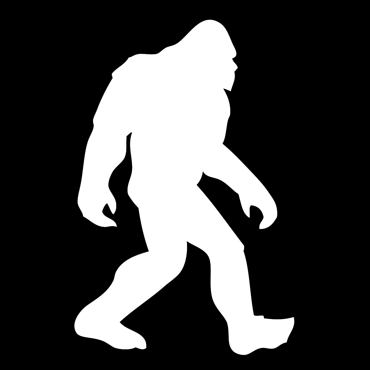 Bigfoot steam цена фото 51